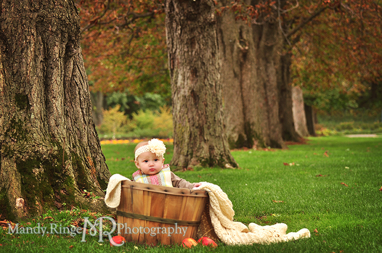 6 month old baby girl portraits // Sitting in an apple basket in front of a row of trees // Cantigny Gardens - Wheaton, IL // by Mandy Ringe Photography