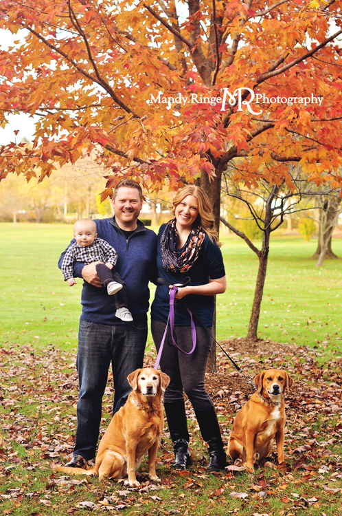 Fall family portraits // Fall foliage, orange maple leaves, family dogs // Mount St. Mary's Park - St. Charles, IL // by Mandy Ringe Photography