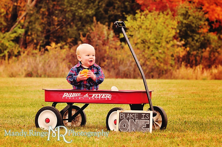 1 year old boy sitting in a Radio Flyer wagon with colorful autumn trees in the background // First birthday portraits // Leroy Oaks - St Charles, IL // by Mandy Ringe Photography