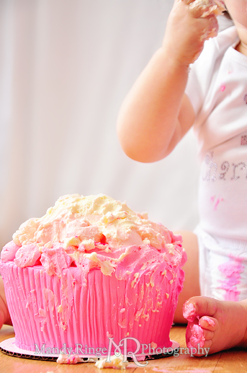 Twin girl's first birthday portraits // Cupcake smash cake, pink cake hats, fabric pennants, pink, teal, fuchsia, yellow, rhinestone name shirts // by Mandy Ringe Photography