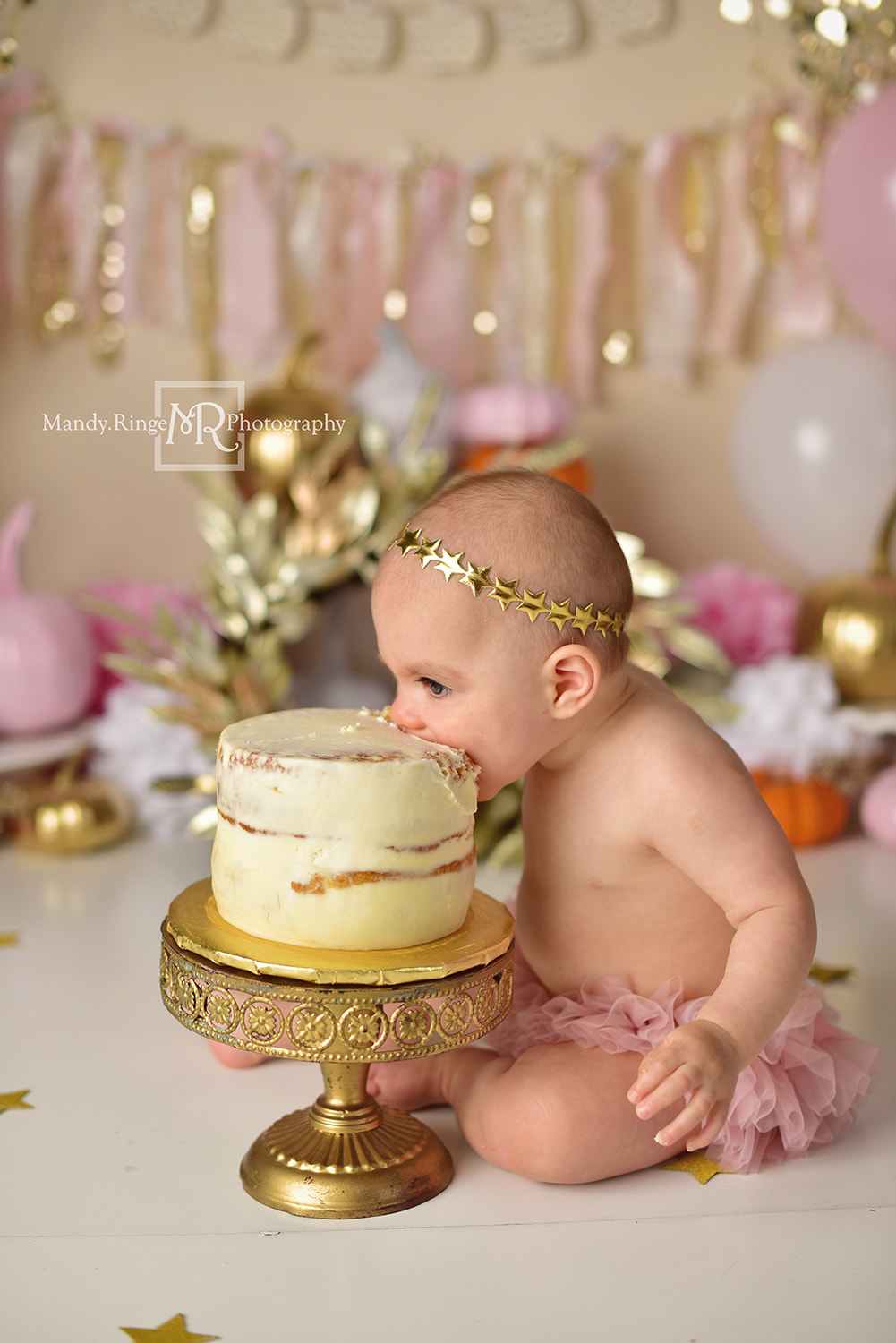 St. Charles, Batavia, Geneva, Wheaton, IL Family, Child, Baby, and Maternity Photographer: First Birthday Cake Smash