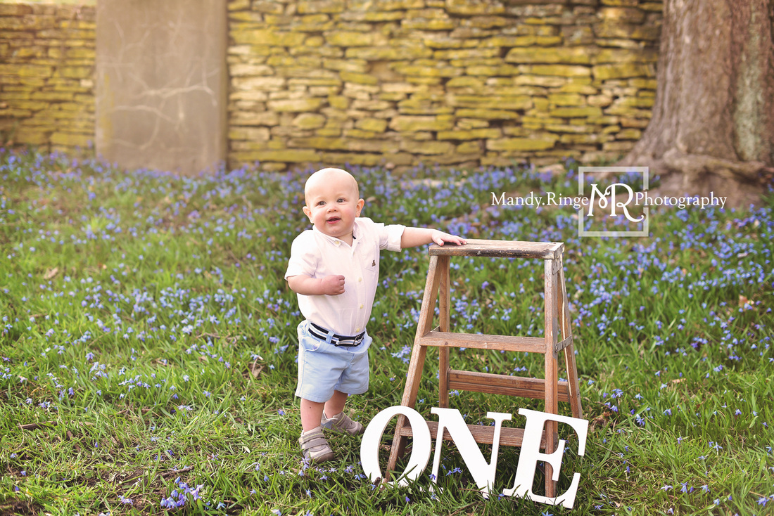Spring family portraits // Boy and girl siblings, family of four, blue flowers, first birthday, ONE, wooden ladder // Fabyan Forest Preserve - Geneva, IL // by Mandy Ringe Photography