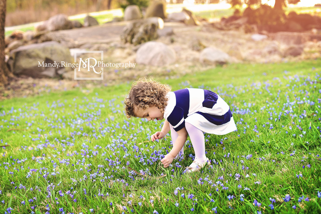 Spring family portraits // Boy and girl siblings, family of four, blue flowers // Fabyan Forest Preserve - Geneva, IL // by Mandy Ringe Photography