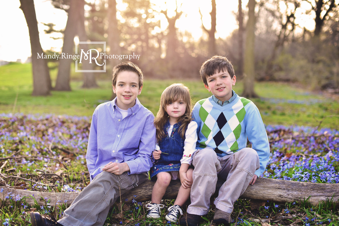 Spring family and extended family portraits // siblings, 3 kids, grandparents, parents, blue flowers // Fabyan Forest Preserve - Geneva, IL // by Mandy Ringe Photography