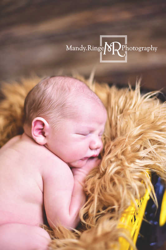 Newborn boy portraits // nude, caramel brown fur, Tonka dump truck // Client's home - travelling studio - Geneva, IL // Mandy Ringe Photography