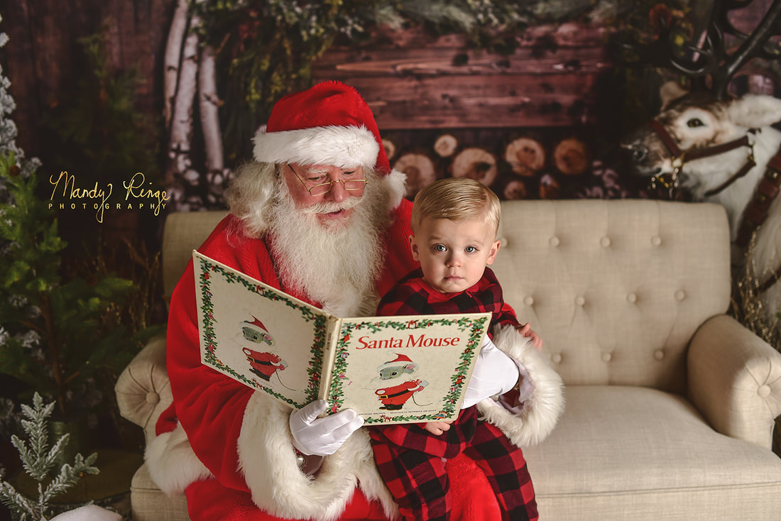 Santa mini session // Christmas, sofa, Baby Dream Backdrop, rustic, reindeer // St Charles, IL Photographer // by Mandy Ringe Photography